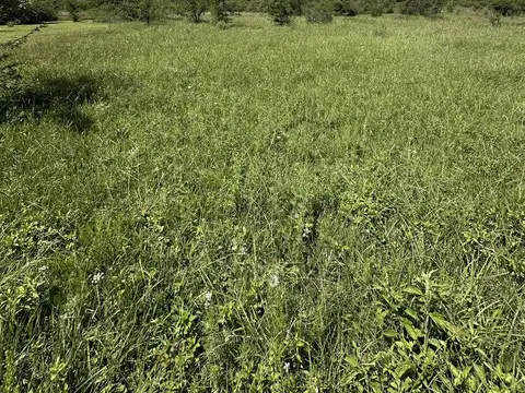 A 100 metros del lago Los Molinos