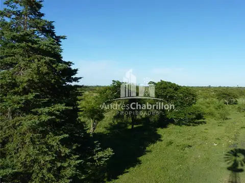 Federal 2000 Has. 100