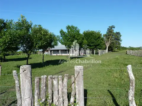 Federal 2000 Has. 100