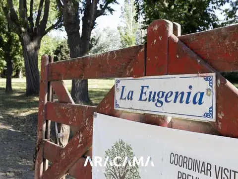 C. Sierra Grande