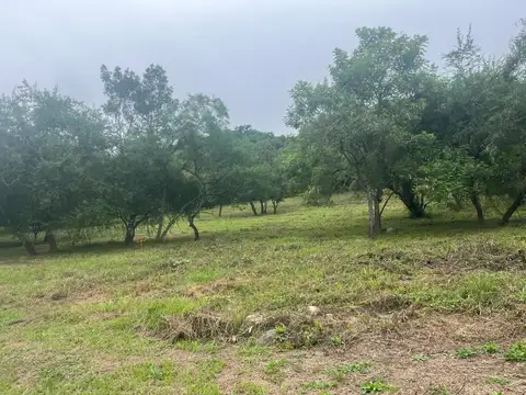 Los Ceibos, La Hoyada 21