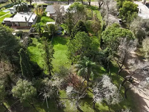 Leonidas Gambartes al 200