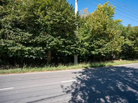 TERRENOS EN VENTA - 1461 MT2 TOTALES - IDEAL DESARROLLOS - 467 E 31 Y 31 BIS- CITY BELL  - LA PLATA