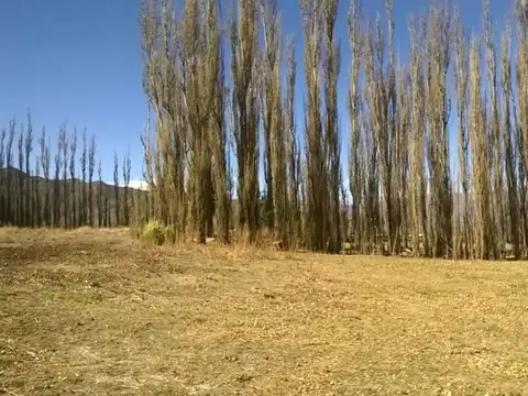 Campo en Venta en Cachi Adentro, Cachi
