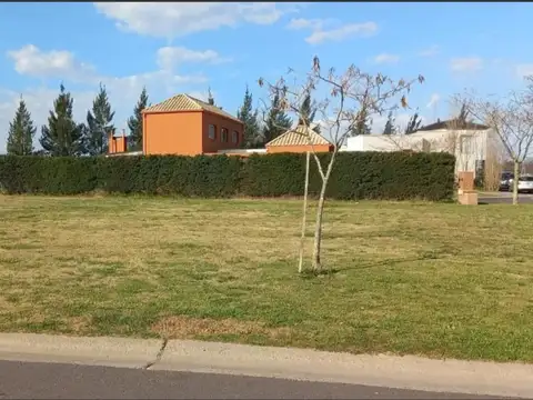 Terreno en San Matias