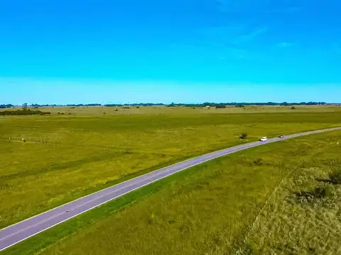 CAMPO EN VENTA.RUTA 36.KM 100. MAGDALENA.LA PLATA 