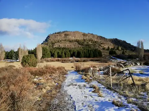 Terreno en Venta de 29224,0 m2