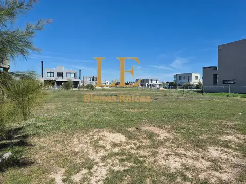 Terreno en Venta 40  mts Fondo