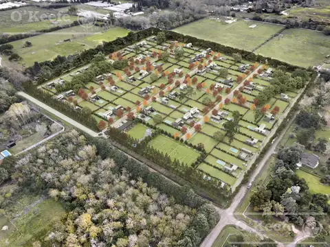 Terreno en Venta en Centro Agricola el Pato, Partido de Berazategui