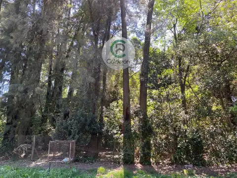 Terreno en Venta de 856,0 m2