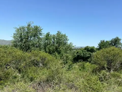 Terreno en Venta 60  mts Fondo