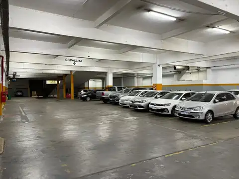 Galpon en Alquiler en Chacarita, USD 50.400