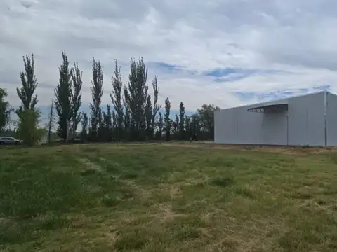 Galpon en Alquiler 35  mts Frente