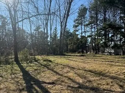 RETASADO!!!!!! LOS PINOS - LOS PINOS II 100