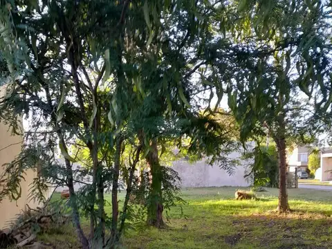 Terreno Venta   San Vicente con escritura 412 mts