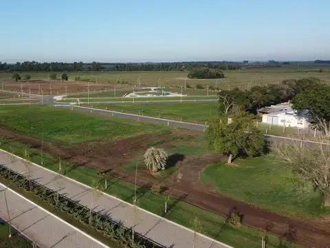 Lote 251, EcoTierra
