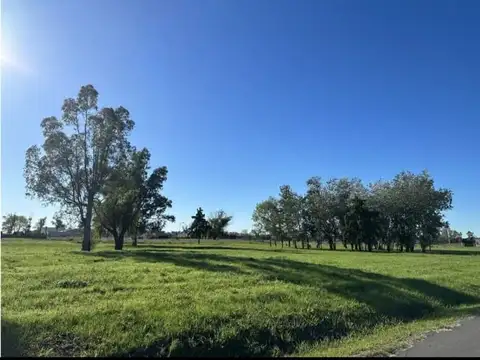 VENTA LOTE ALAMOS II LUJAN