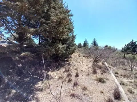 VENTA 2 HECTAREAS CASA Y SALON TANTI