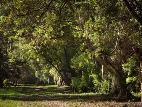 RINCON DE LA PATRIA Y ACASSUSO
