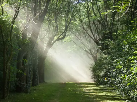 Terreno en Venta en Manzanares, USD 180.000