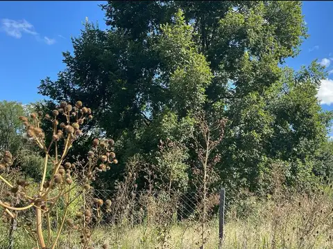 Terreno en venta en Exaltación De La Cruz, Barrio Los Pinos