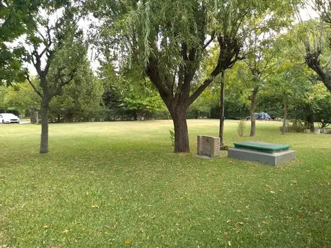 Los Olivos