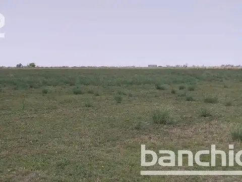 175 HA MIXTO SAN GENARO