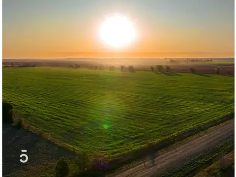 Terreno en Venta de 500,0 m2