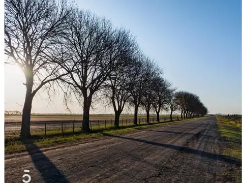 Terreno en Venta en Ibarlucea, Rosario