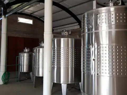 Campo de 444 Has con Costa de Río Carrileufu