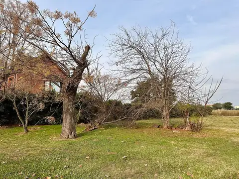 Terreno en Venta 52  mts Fondo