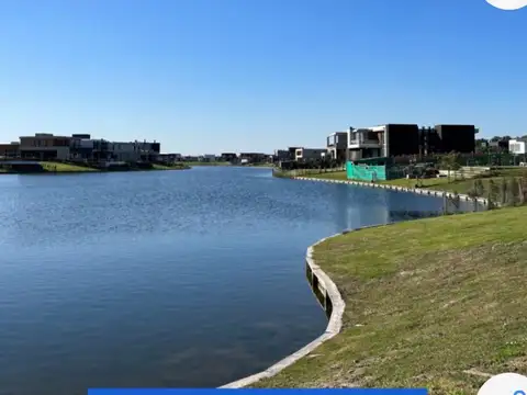 Nordelta, Carpinchos