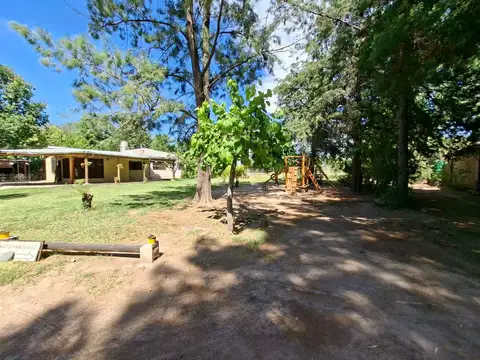 VENTA CASA QUINTA 3 DORM. PILETA - JARDIN - MAIPU