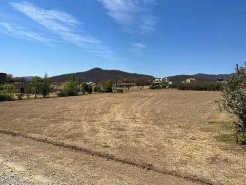 La Lucinda