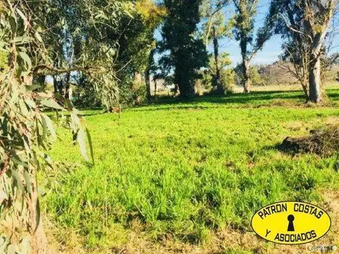 Terreno en Venta de 2000,0 m2