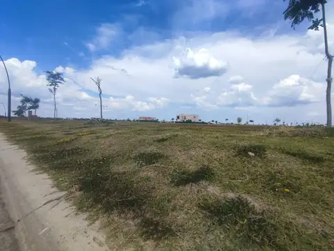 Terreno en Venta 19  mts Fondo