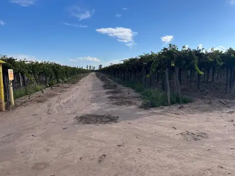 VENTA DE FINCA EN SAN MARTIN