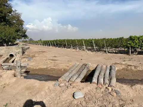 VENTA DE FINCA EN SAN MARTIN