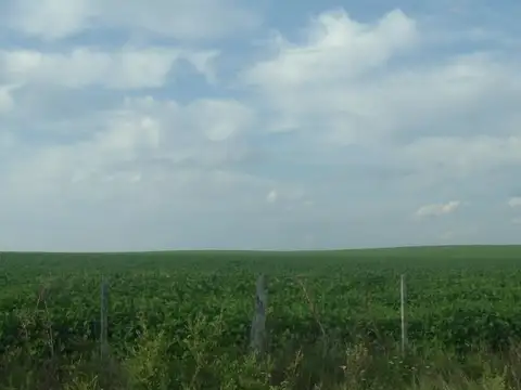 Campo en Venta de 171  ha