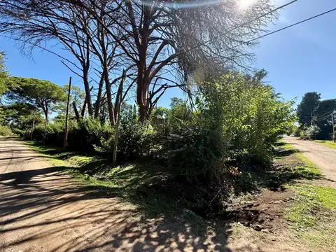 Terreno en Venta de 442,0 m2