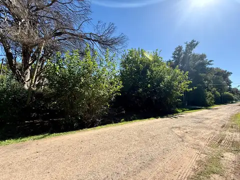 Terreno en Venta en Manzanares, USD 37.000