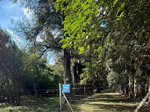 Victorino de la Plaza