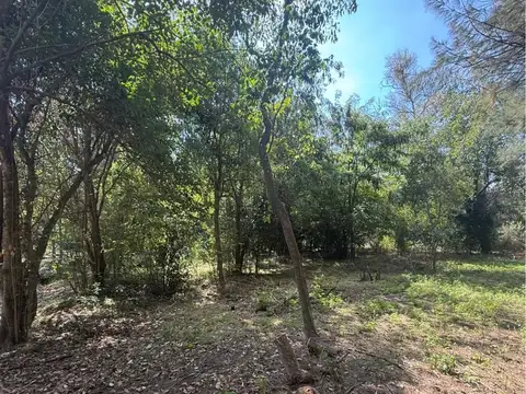 Terreno en Venta 84  mts Fondo