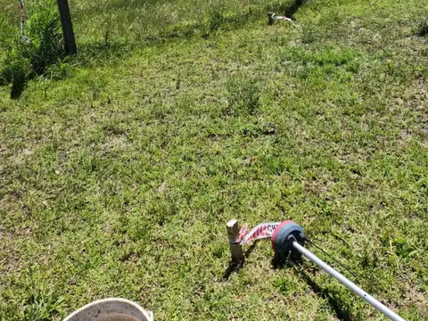 TERRENO EN VENTA EN SAN VICENTE 