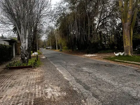 Calle 19 entre 462 y 464 al 900