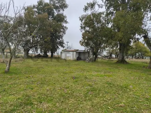 VENTA CAMPO ABBOTT SAN MIGUEL DEL MONTE