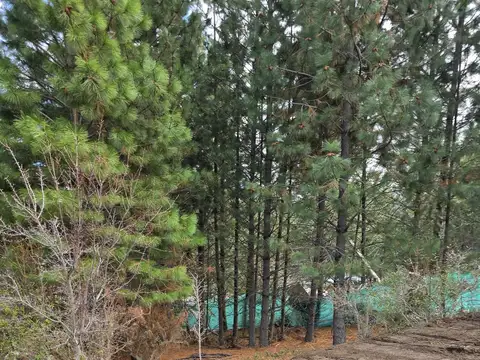 Terreno - Chapelco Golf & Resort