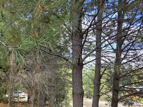 Terreno - Chapelco Golf & Resort