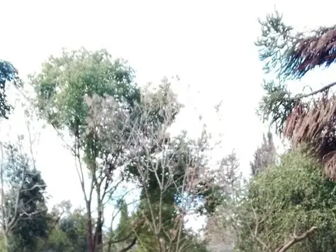 Terreno en Venta de 400,0 m2