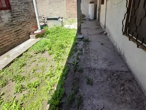Ombú 100